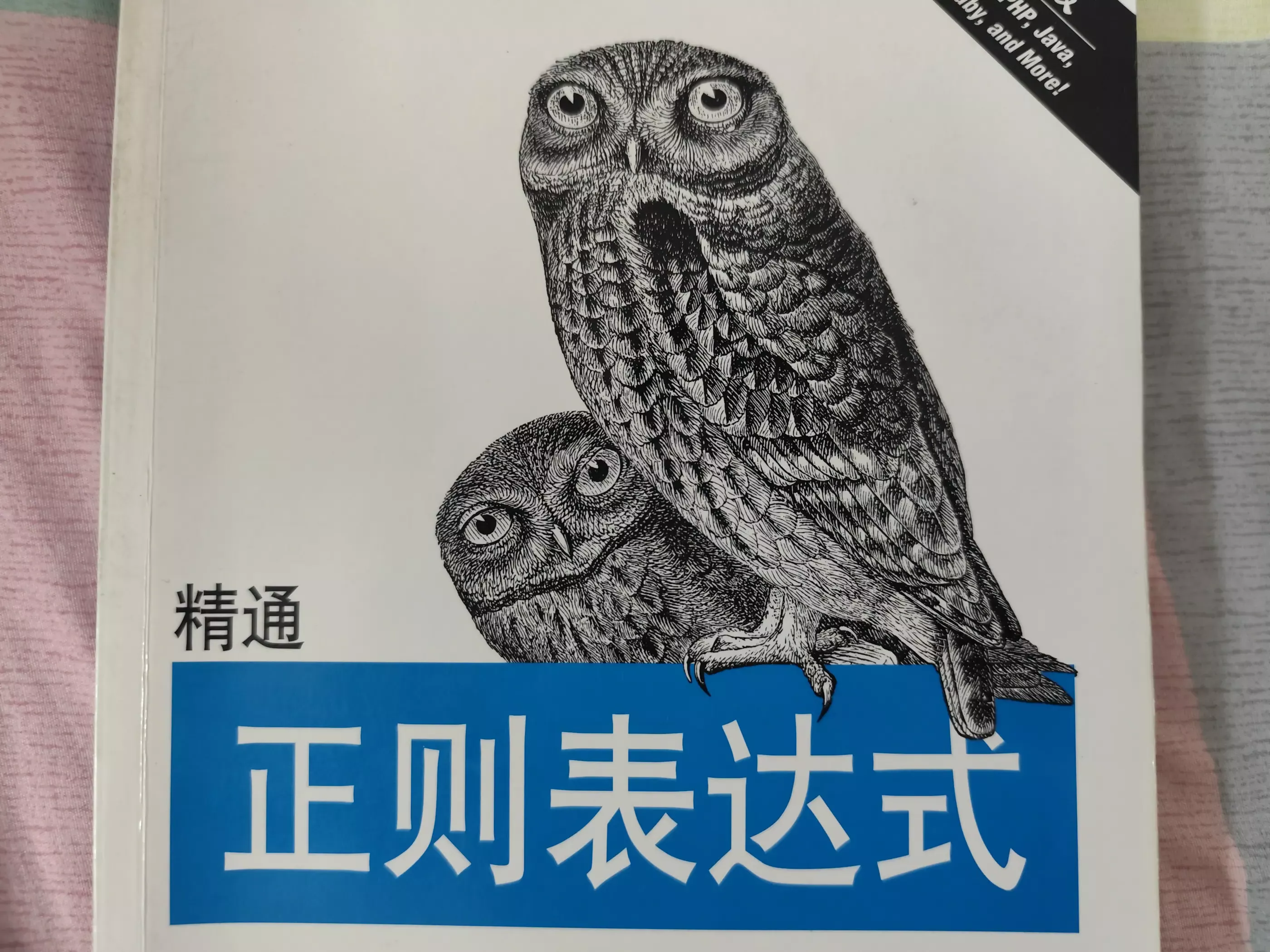 精通正则表达式》精华摘要- yuanyxh のblog
